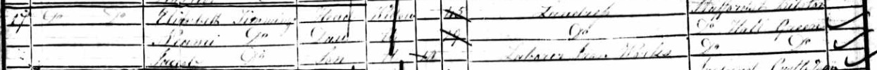 1851 England census for Elizabeth Timmings