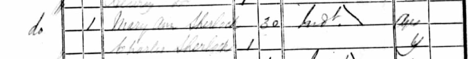 Mary Ann Sherlock in 1841 census